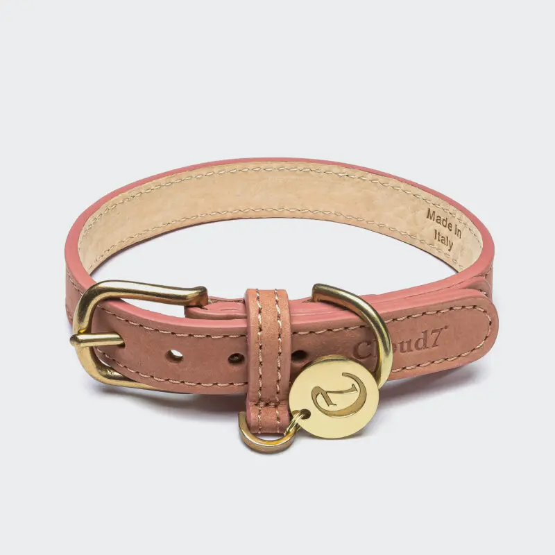 Cloud7 Dog Collar Tiergarten Peach