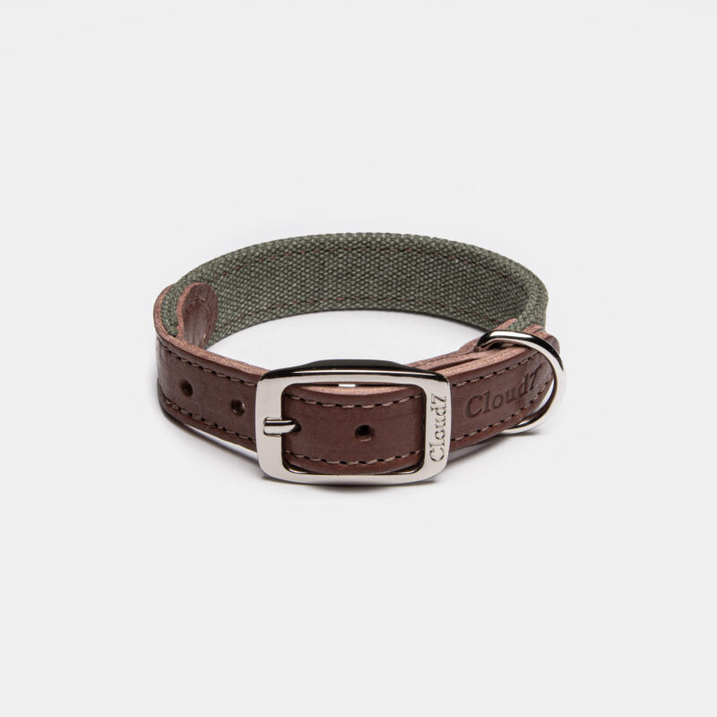 Cloud7 Dog Collar Tivoli Olive
