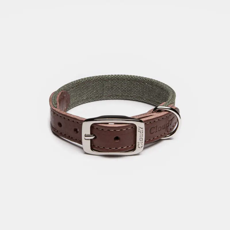 Cloud7 Dog Collar Tivoli Olive