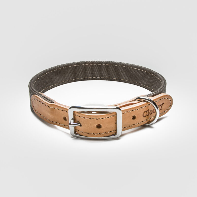 Cloud7 Dog Collar Tivoli Greige