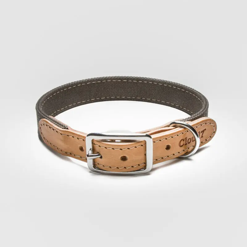 Cloud7 Dog Collar Tivoli Greige