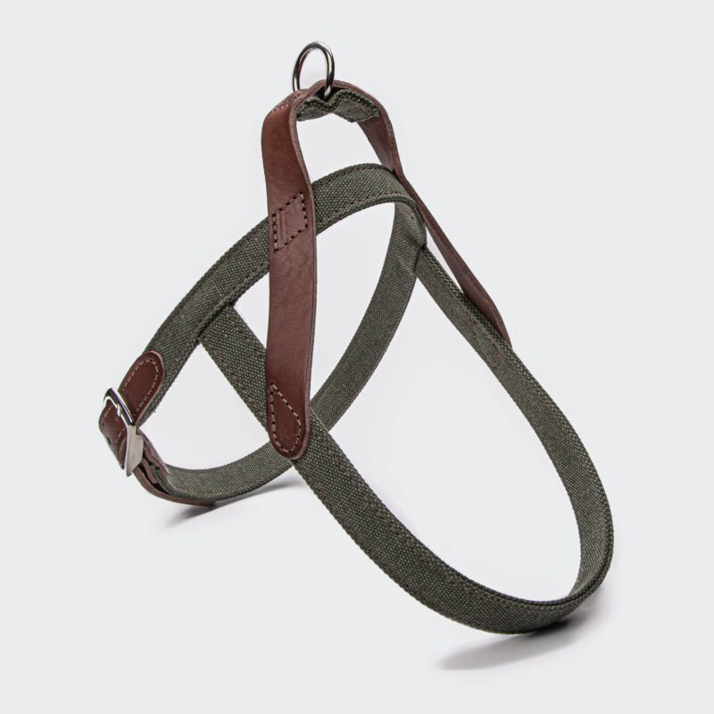 Cloud7 Dog Harness Tivoli Olive