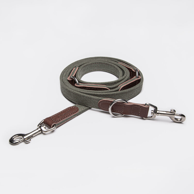 Cloud7 Dog Leash Tivoli Olive