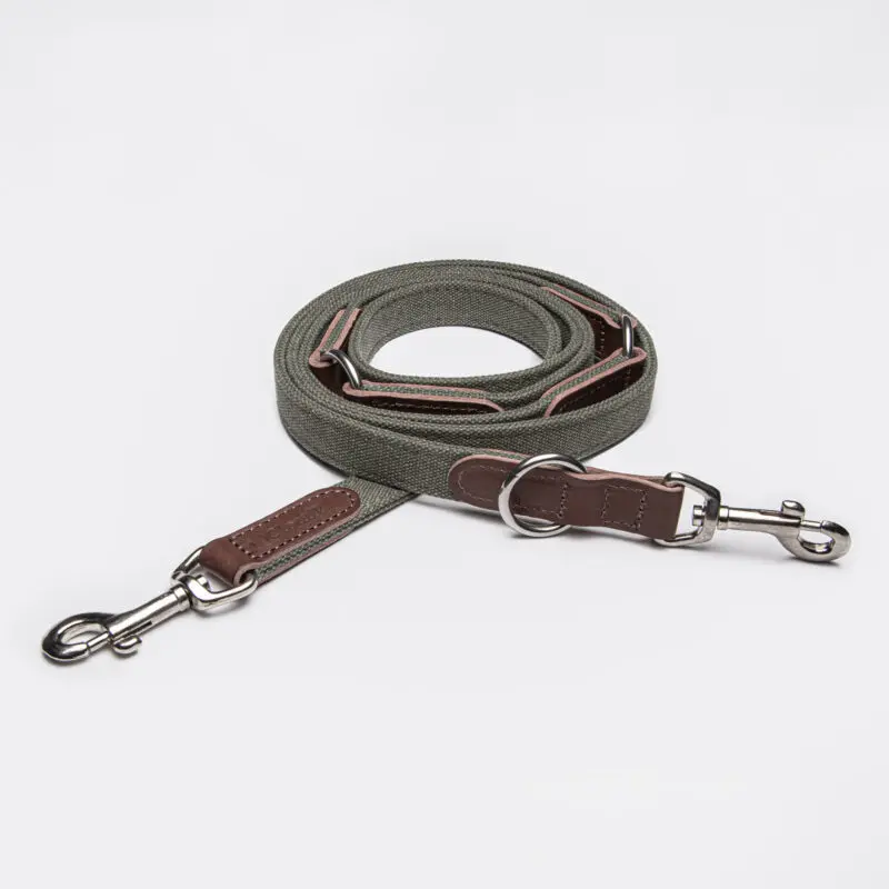 Cloud7 Dog Leash Tivoli Olive