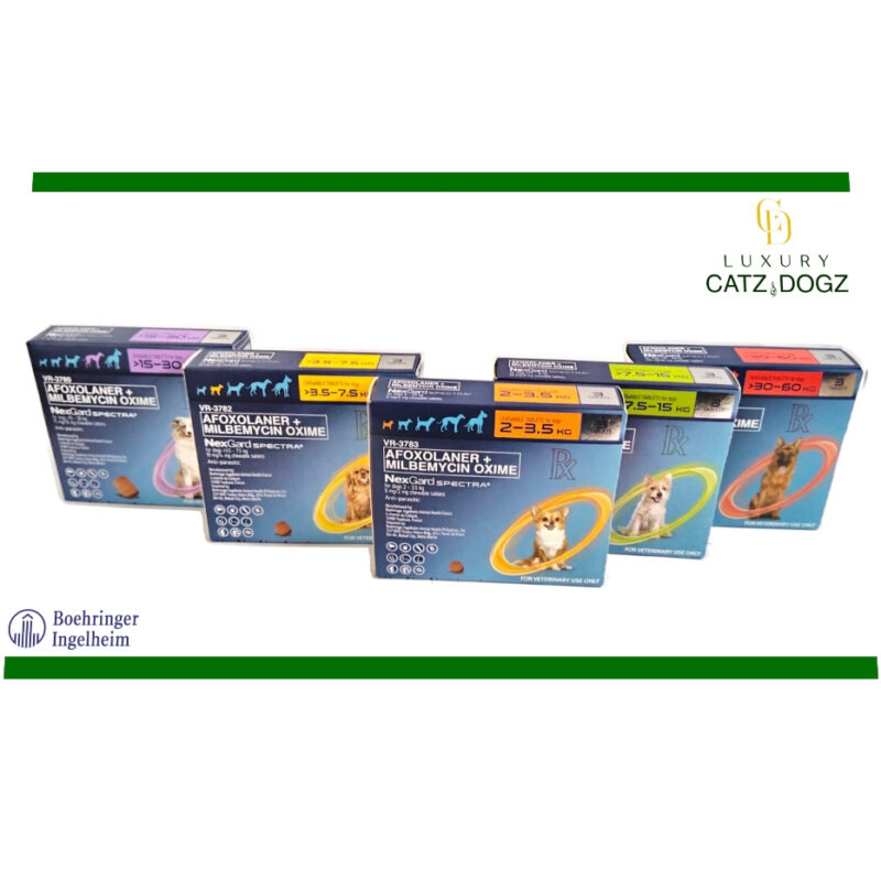 NexGard Spectra Box Original